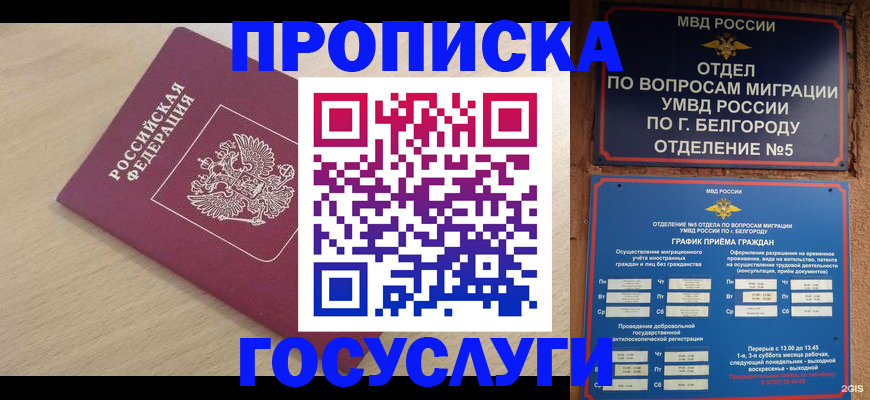 прописка законно в Медвежьегорске